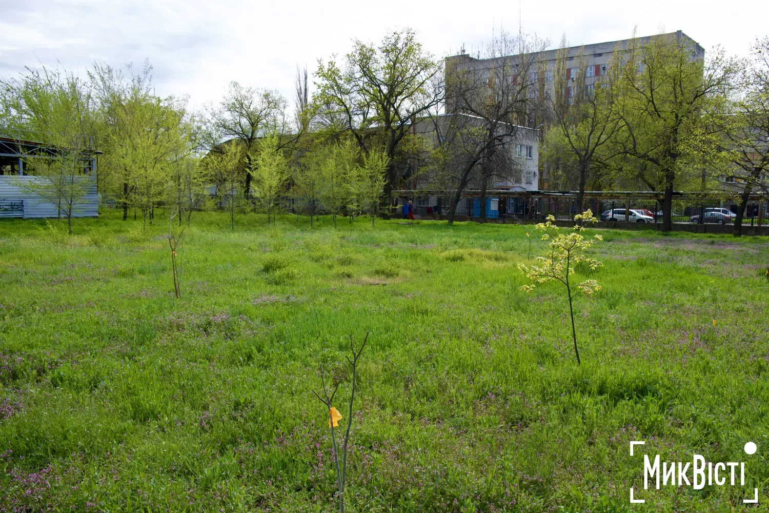 Територія, де планують побудувати АЗС. Фото: НикВести, Кирілл Витвицький
