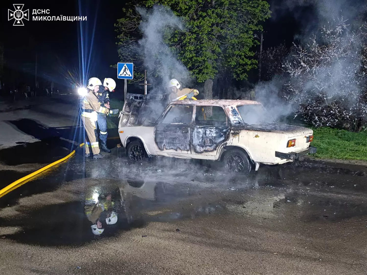 Пожежа у Миколаївській області. Фото: ДСНС