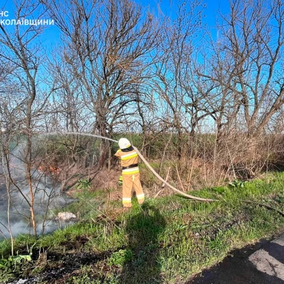 Пожежа у Миколаївській області. Фото: ДСНС