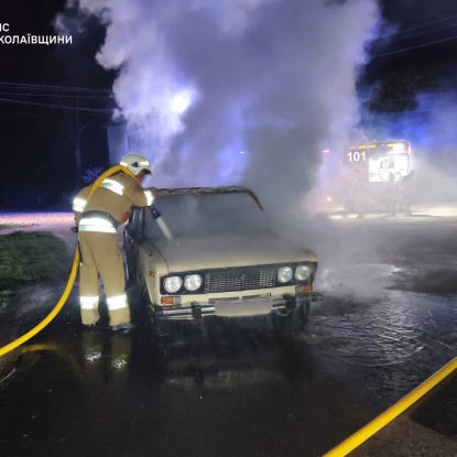 Пожежа у Миколаївській області. Фото: ДСНС