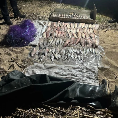 На Одещині затримали браконьєрів. Фото: Держекоінспекція