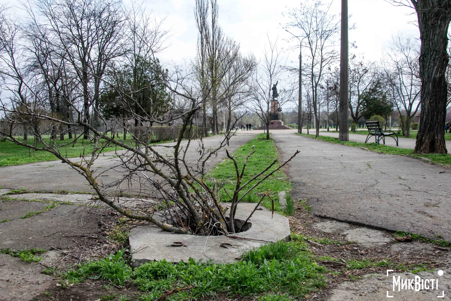 Замість кришки гілки у колодязі. Фото «НикВести»