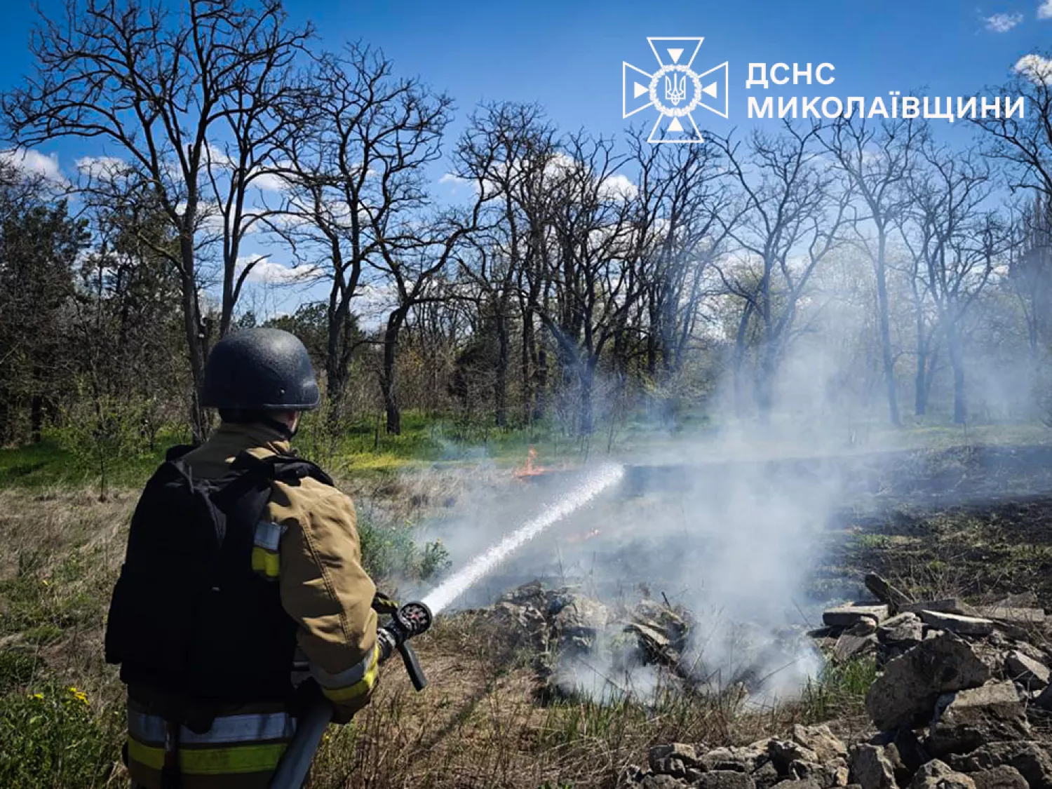 Пожежа на Миколаївщині. Фото: ДСНС