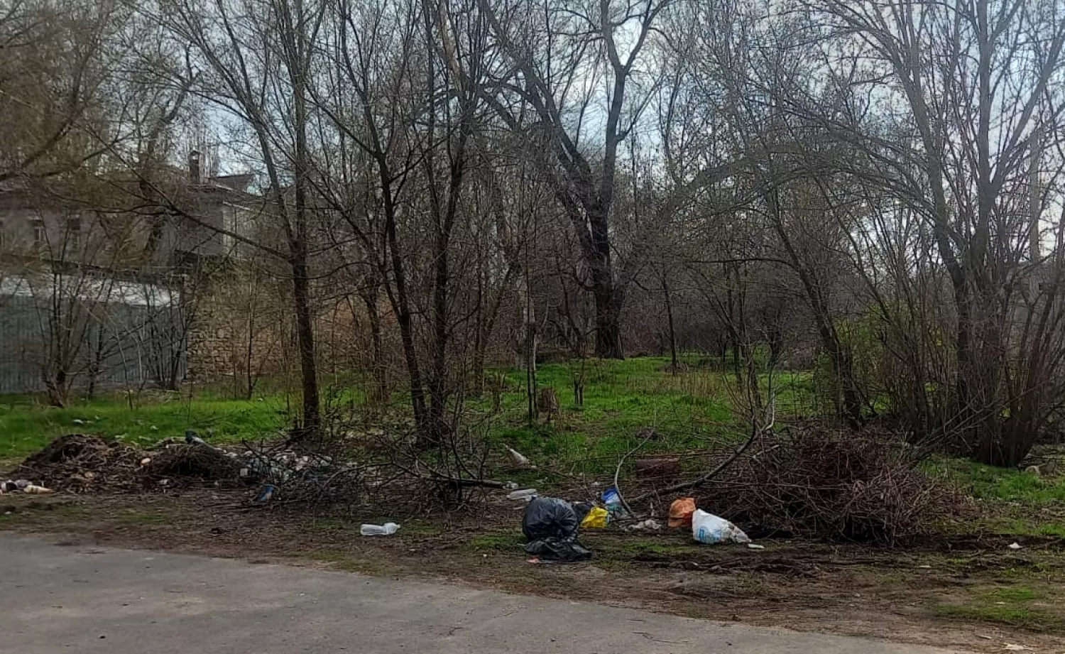 Сміттєзвалище біля музичної школи, фото Державна екологічна інспекція Південно-Західного округу