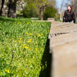 Відновлення Снігурівки. Фото: Сергій Овчаришин / НикВести