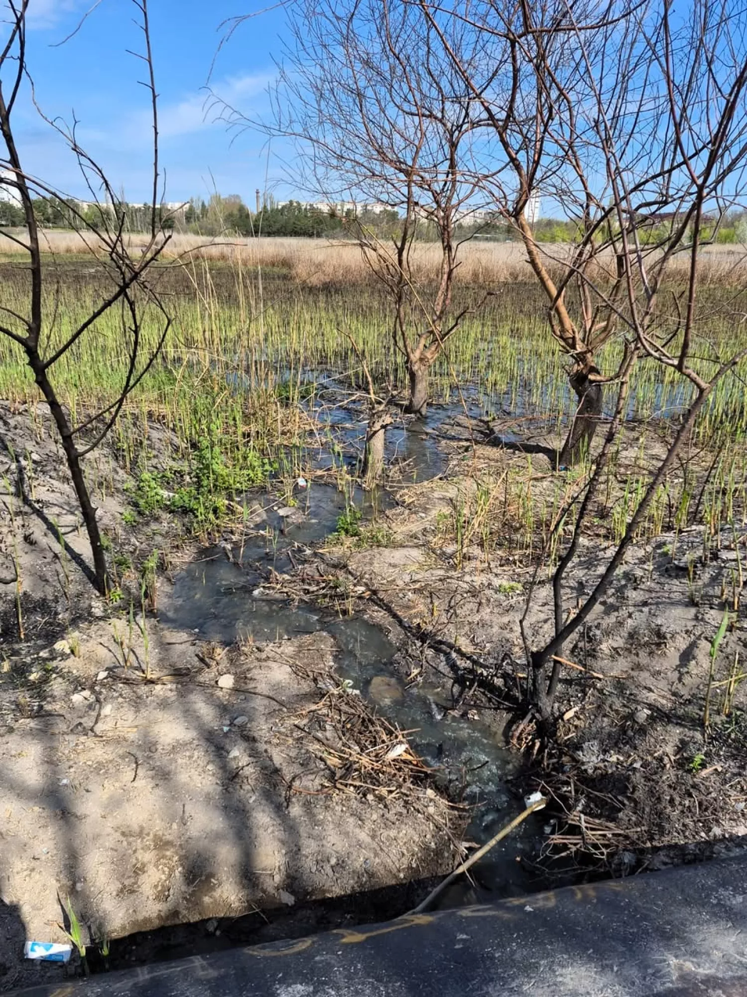 Парк Ліски: фото Державна екологічна інспекція Південно-Західного округу