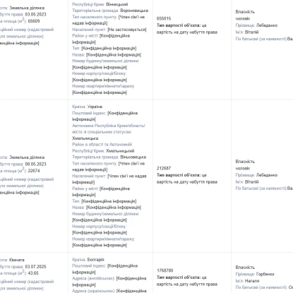 Нерухомість депутата Наталі Горбенко та її чоловіка. Скриншот декларації