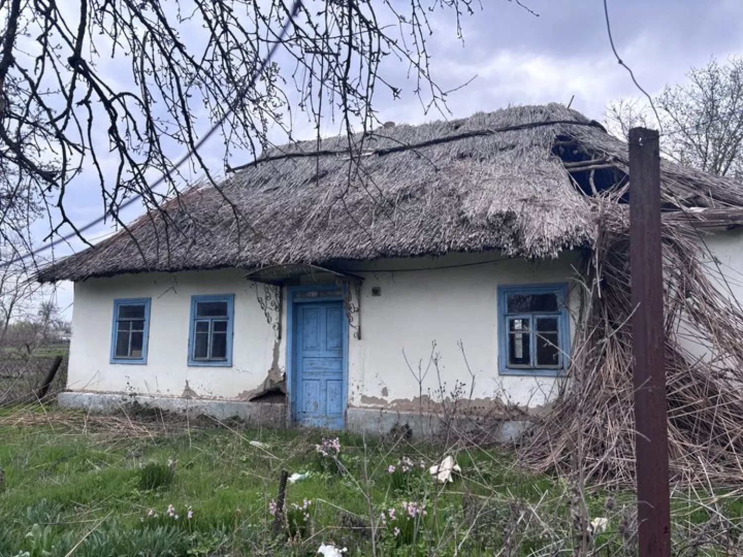 Хата під очеретом на Миколаївщині. Фото: Суспільне Миколаїв