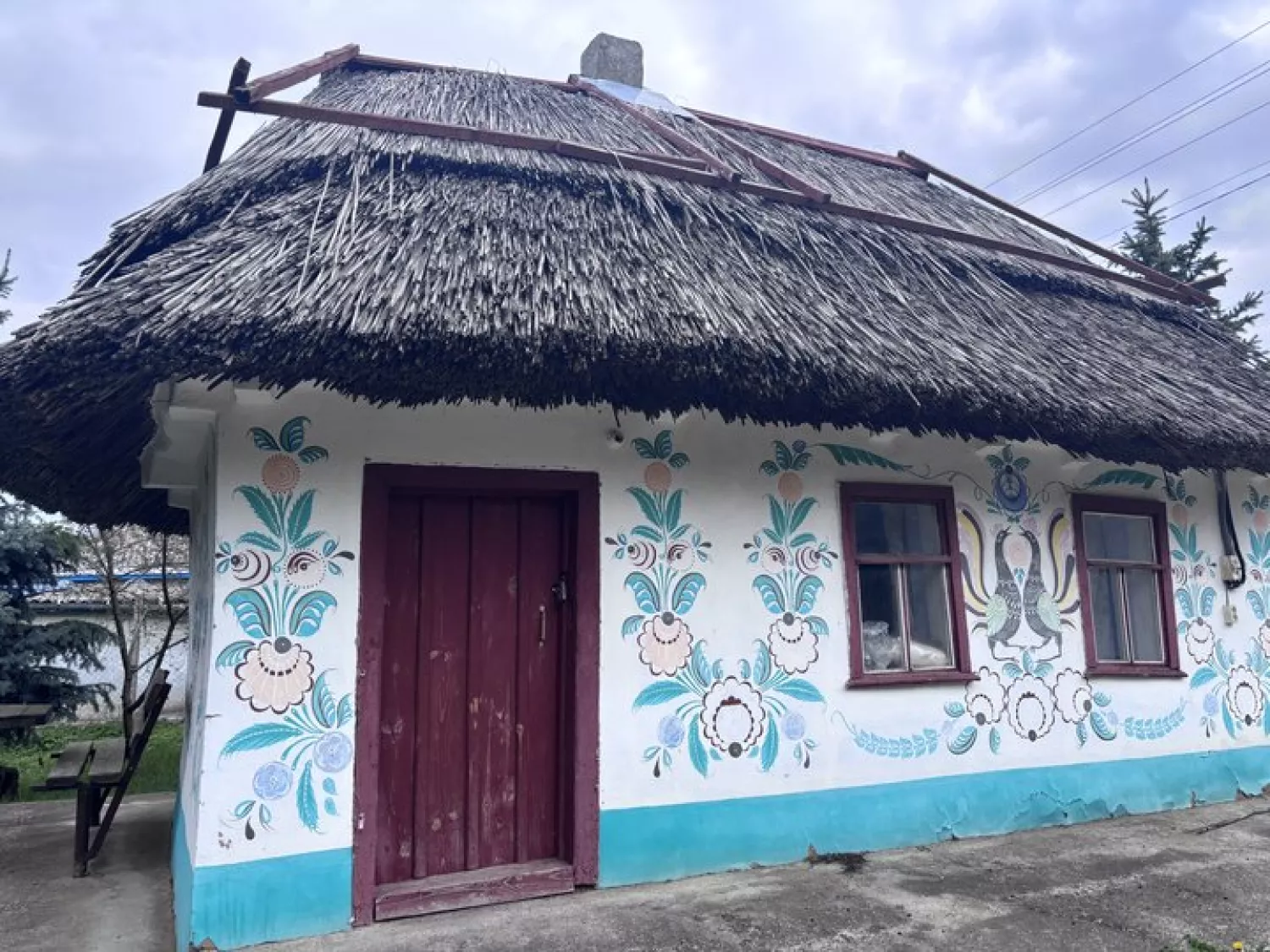 Хата під очеретом на Миколаївщині. Фото: Суспільне Миколаїв