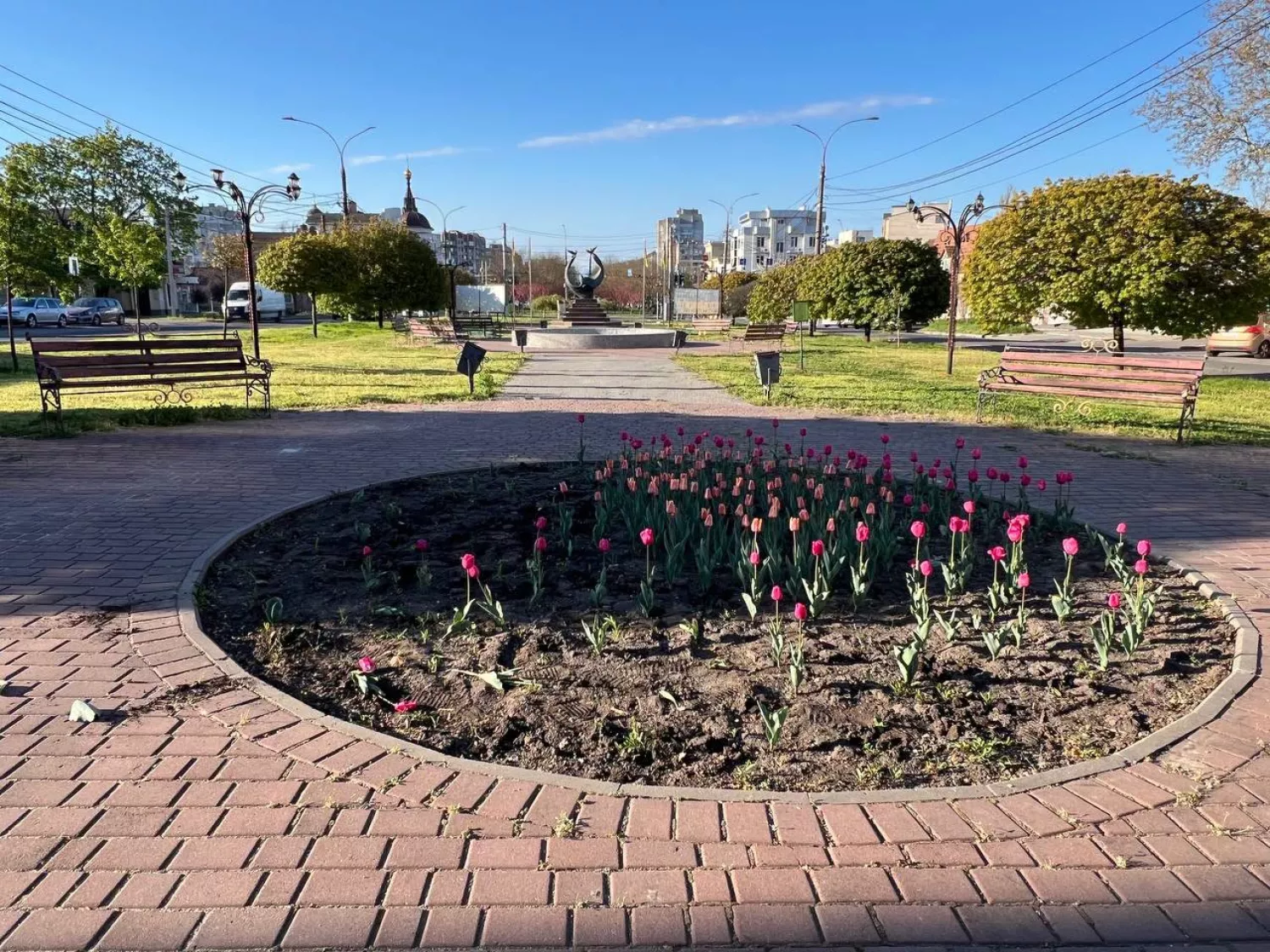 У Миколаєві знайшли чоловіка, який вирвав з клумб тюльпани. Фото: Миколаївські парки