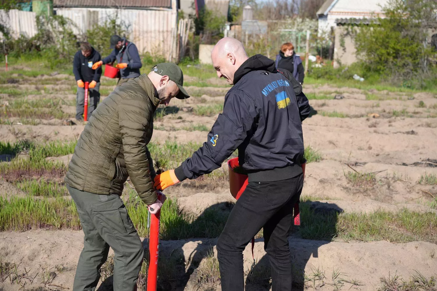 На Миколаївщині розпочали відновлення лісів, знищених під час боїв Миколаїв. Фото: Миколаївська ОВА