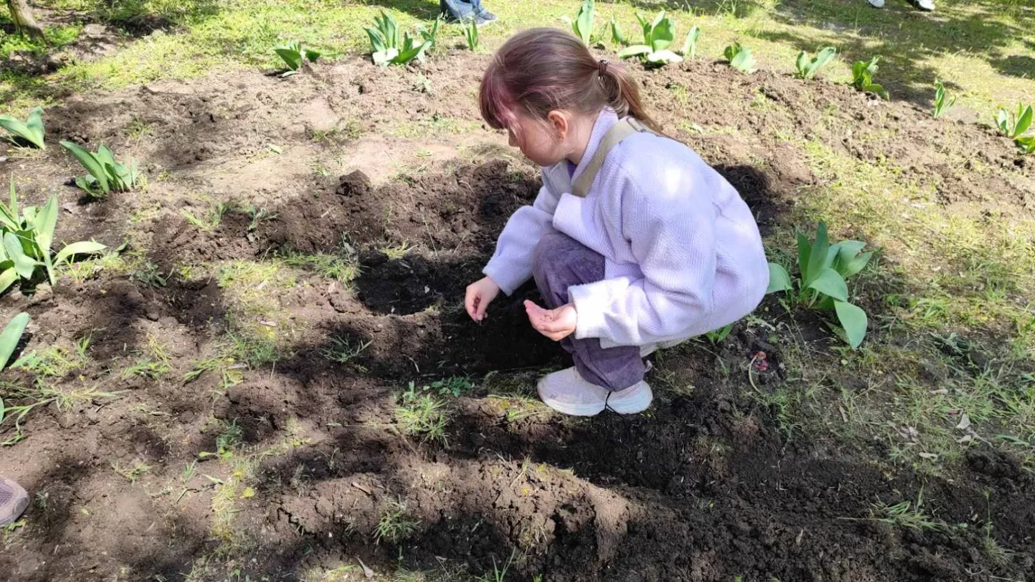 У Миколаєві школярі висадили дерева. Фото: Олександра Ментель