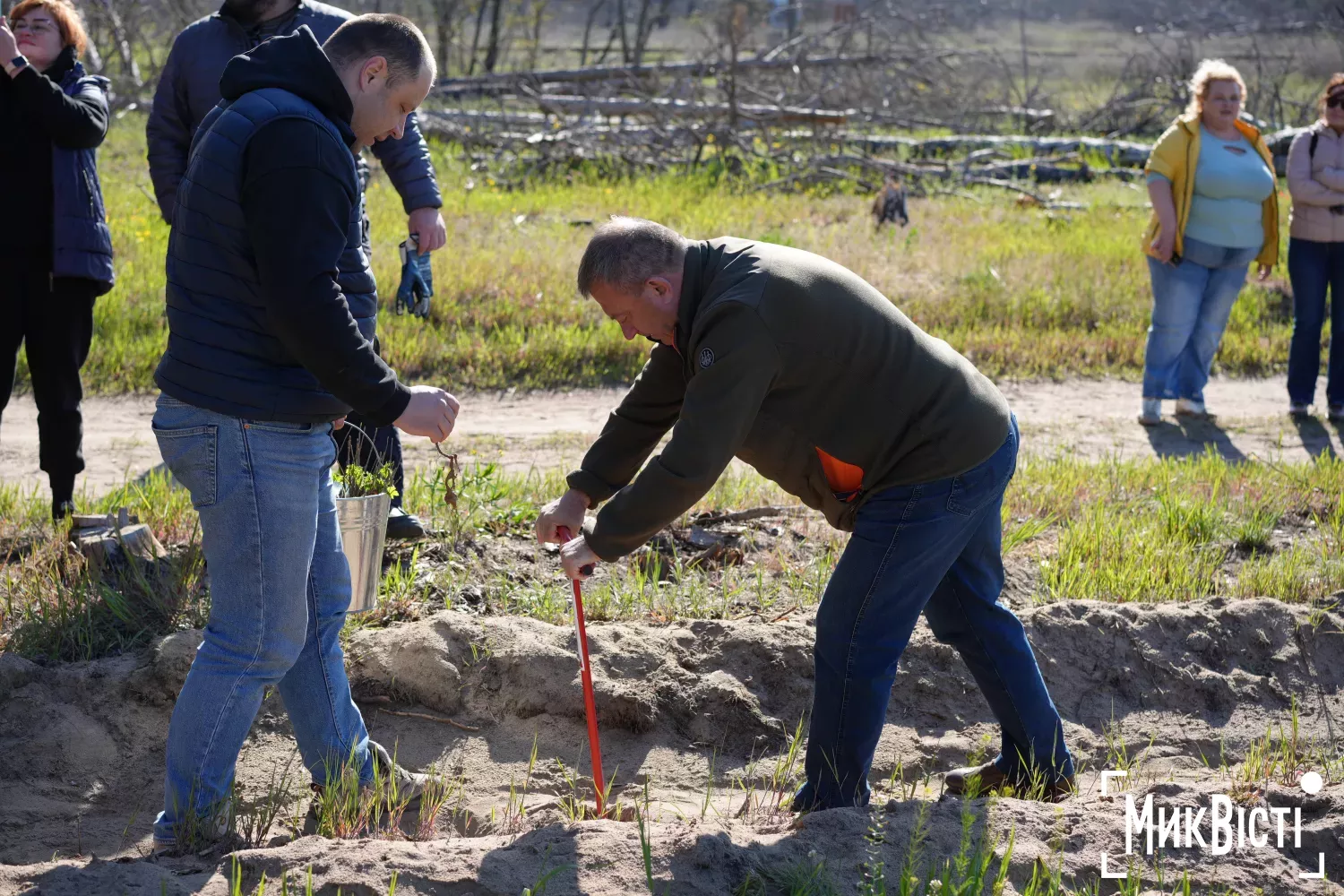 У Галицинівці на Миколаївщині висаджують ліс після пожеж через війну. Фото: НикВести