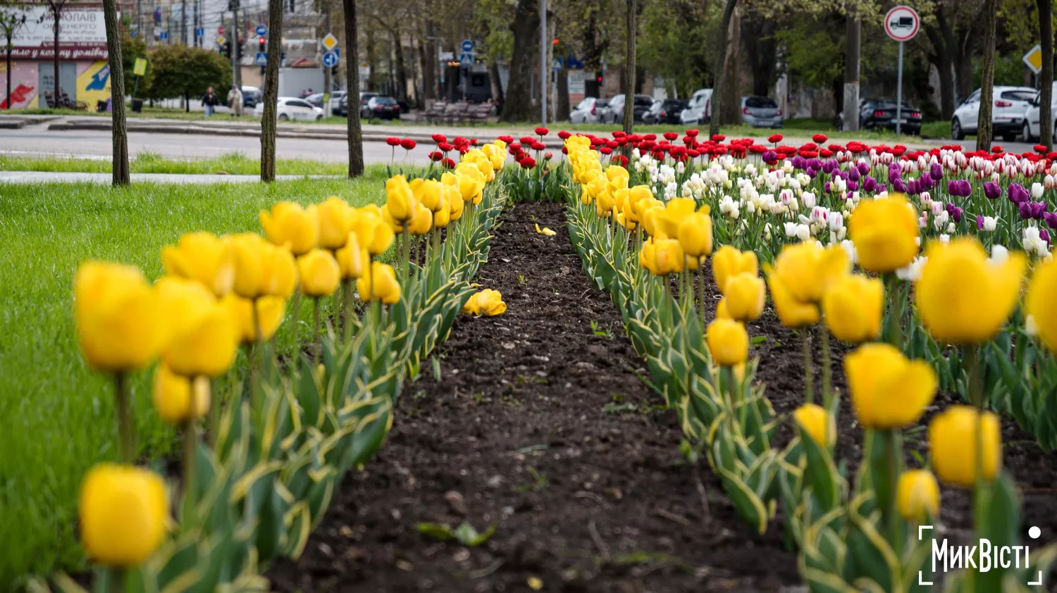 Миколаїв, квітень 2026 року. Фото: МикВісті, Сергій Овчаришин