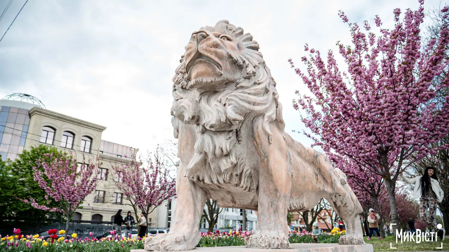 Миколаїв, квітень 2026 року. Фото: МикВісті, Сергій Овчаришин