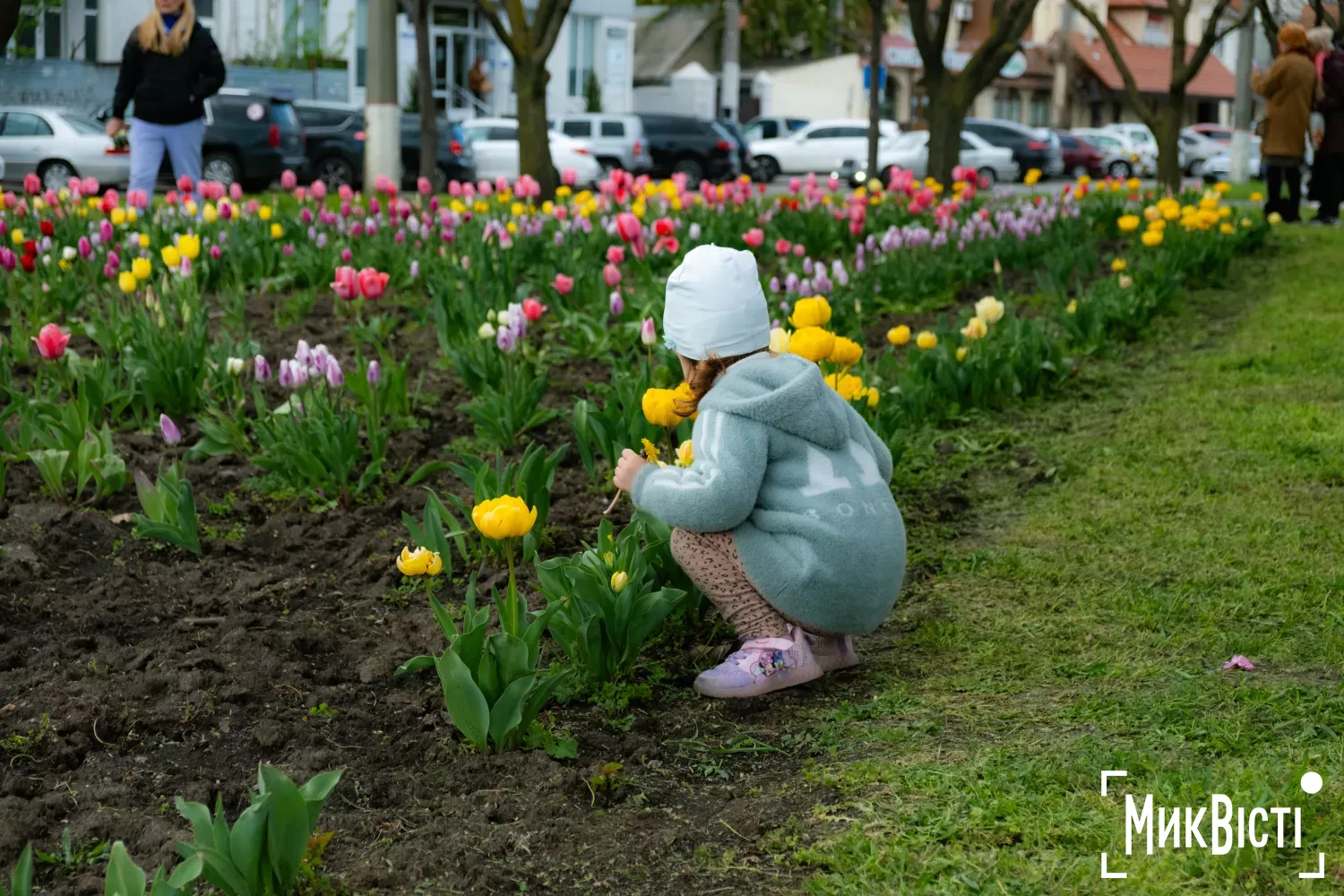 Миколаїв, квітень 2026 року. Фото: МикВісті, Кірілл Витвицький