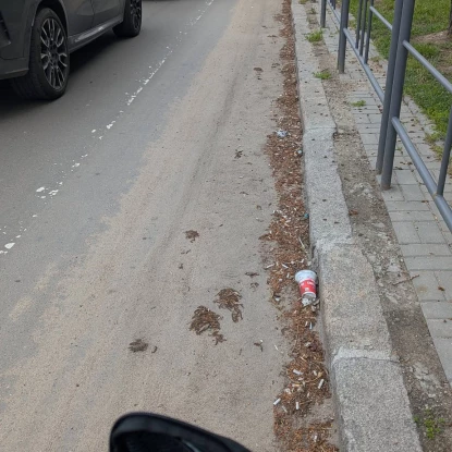 Виглядає узбіччя дороги по вулиці Генерала Олекси Алмазова (Генерала Карпенка) на 16 квітня. Фото: Ольга Голубенко