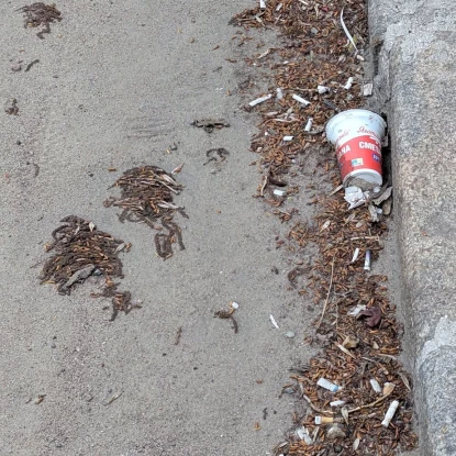 Виглядає узбіччя дороги по вулиці Генерала Олекси Алмазова (Генерала Карпенка) на 16 квітня. Фото: Ольга Голубенко