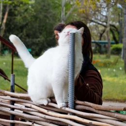 Миколаївський зоопарк, квітень 2026 року. Фото: НикВести, Сергій Овчаришин