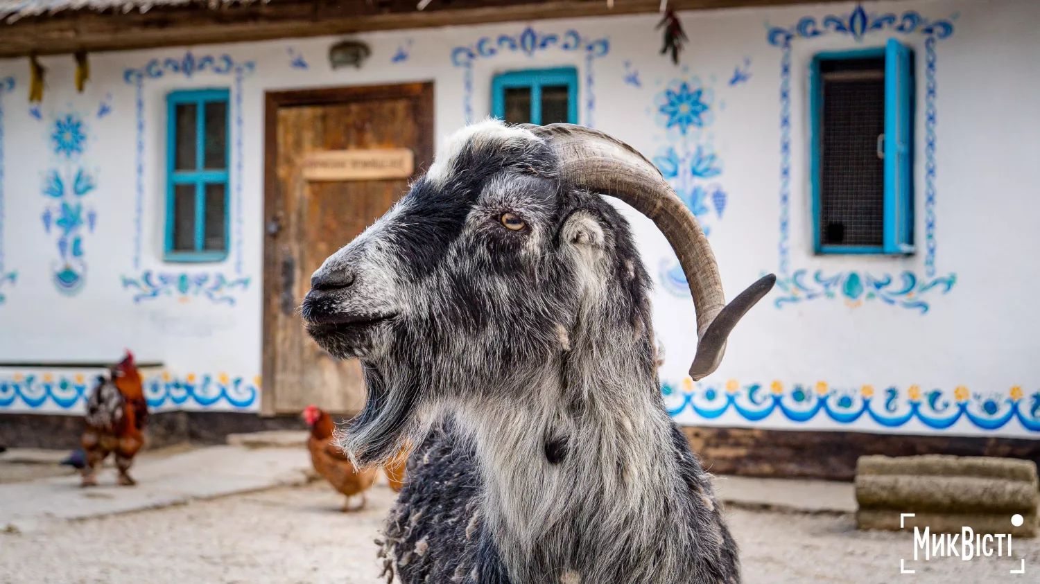 Миколаївський зоопарк, квітень 2026 року. Фото: НикВести, Сергій Овчаришин