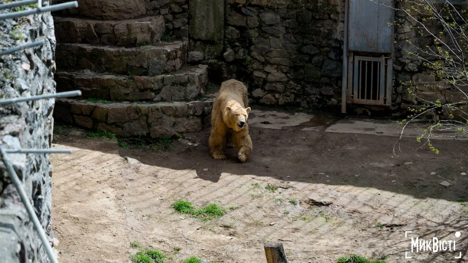 Миколаївський зоопарк, квітень 2026 року. Фото: НикВести, Сергій Овчаришин