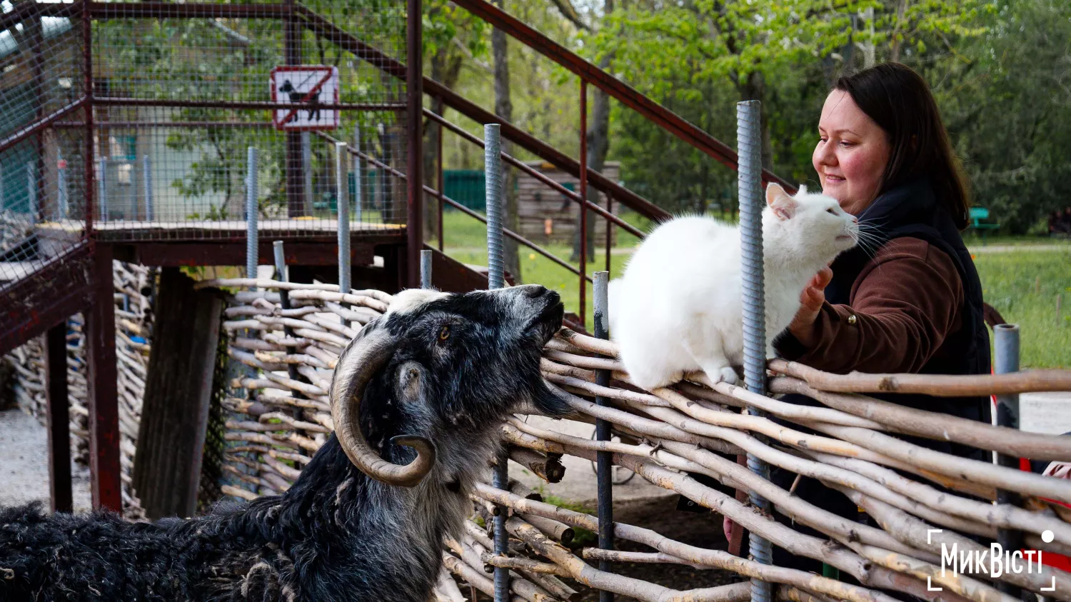 Миколаївський зоопарк, квітень 2026 року. Фото: НикВести, Сергій Овчаришин