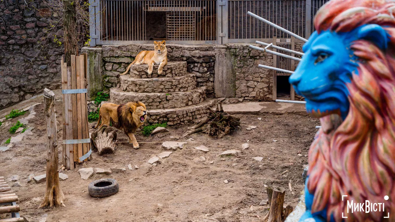 Миколаївський зоопарк, квітень 2026 року. Фото: НикВести, Сергій Овчаришин
