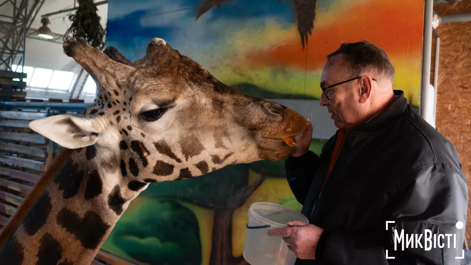 Миколаївський зоопарк, квітень 2026 року. Фото: НикВести, Кірілл Витвицький