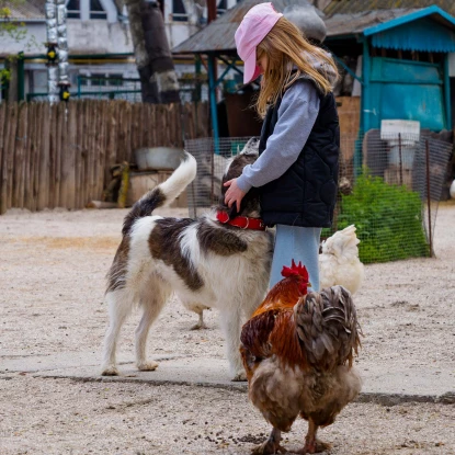Миколаївський зоопарк, квітень 2026 року. Фото: НикВести, Сергій Овчаришин