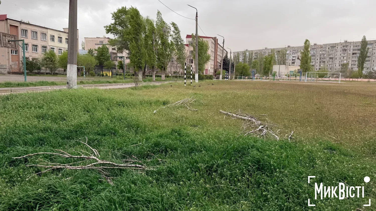 Вітер валить дерева і рве дроти: частина Миколаївщини знеструмлена, 26 квітня. Фото: МикВісті