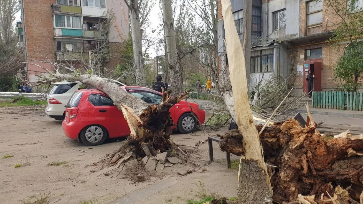 У дворах житлових будинків дерева пошкодили припарковані автівки та тепломережі Фото: Дмитро Скороходов