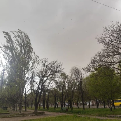 Миколаїв накрив шквальний вітер — у місті падають дерева, обриває дроти та пошкоджує дахи. Фото: Анна Мініна