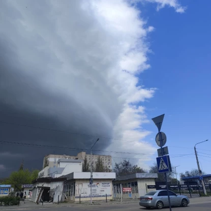 Миколаїв накрив шквальний вітер — у місті падають дерева, обриває дроти та пошкоджує дахи. Фото: Анна Мініна