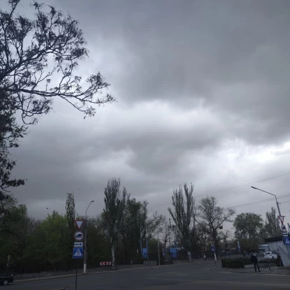 Миколаїв накрив шквальний вітер — у місті падають дерева, обриває дроти та пошкоджує дахи. Фото: Анна Мініна