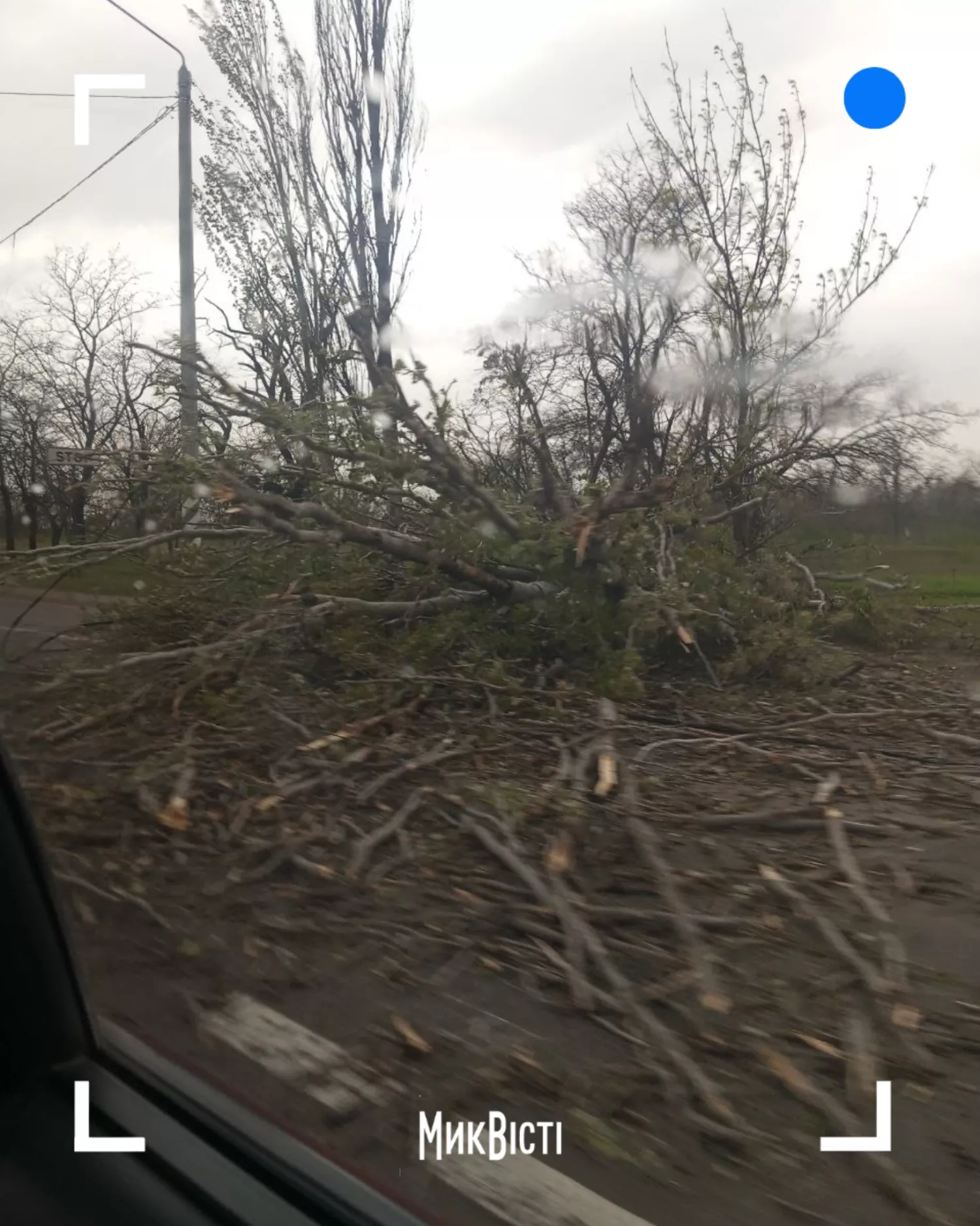Негода на Миколаївщині, фото МикВісті