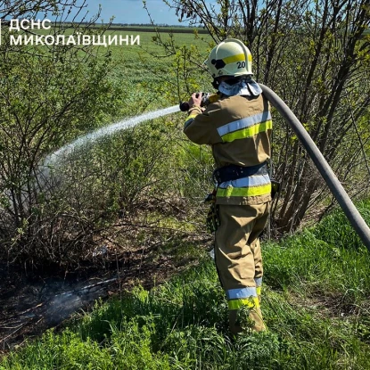 Пожежа у Миколаївській області. Фото: ДСНС