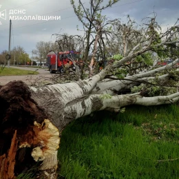 Рятувальники показали наслідки негоди на Миколаївщині. Фото: ДСНС