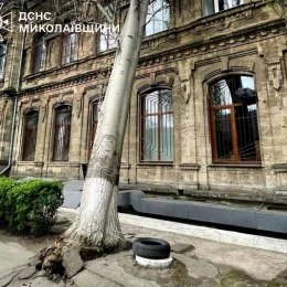 Рятувальники показали наслідки негоди на Миколаївщині. Фото: ДСНС