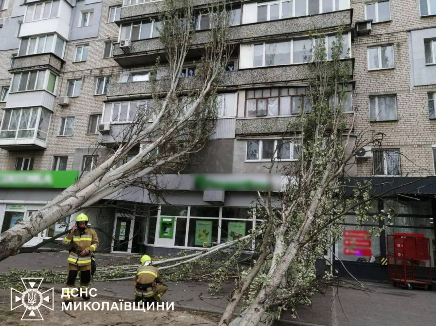 Повалене дерево впало на будинок у Миколаєві. Фото: ДСНС