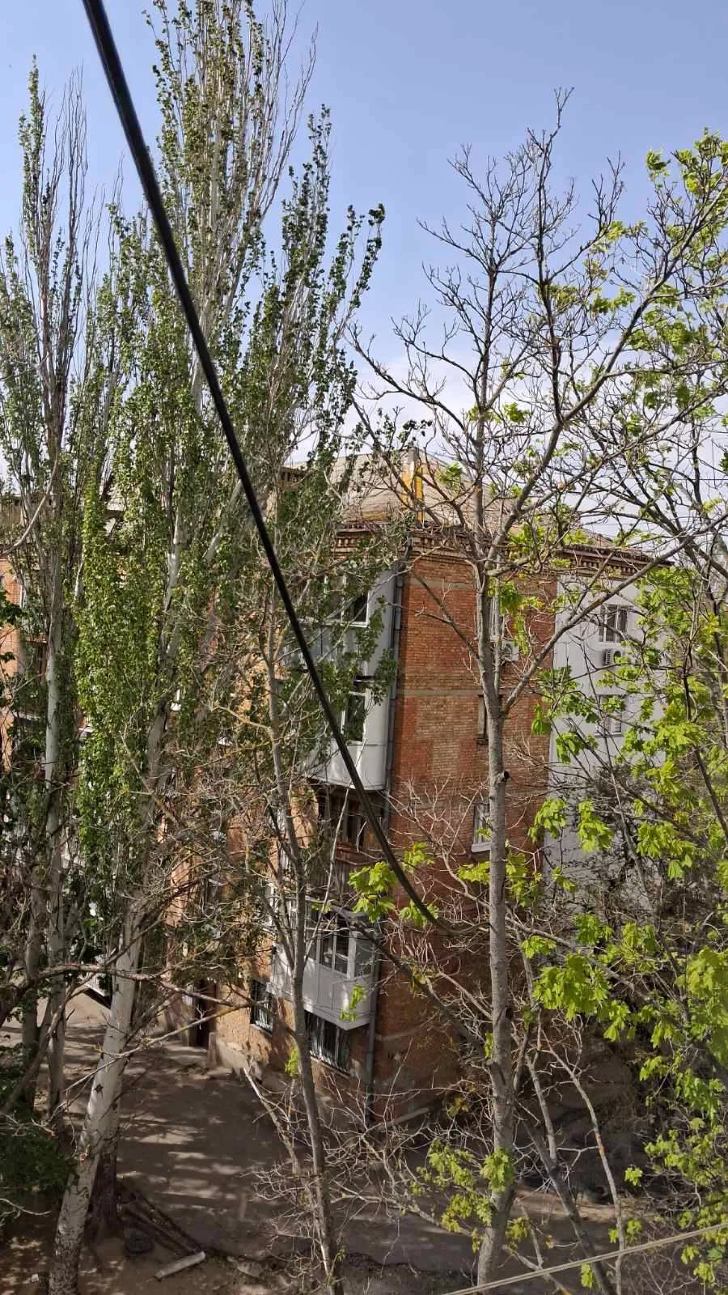 Вул. Генерала Алмазова, 29. Фото: Каті Феоктистова