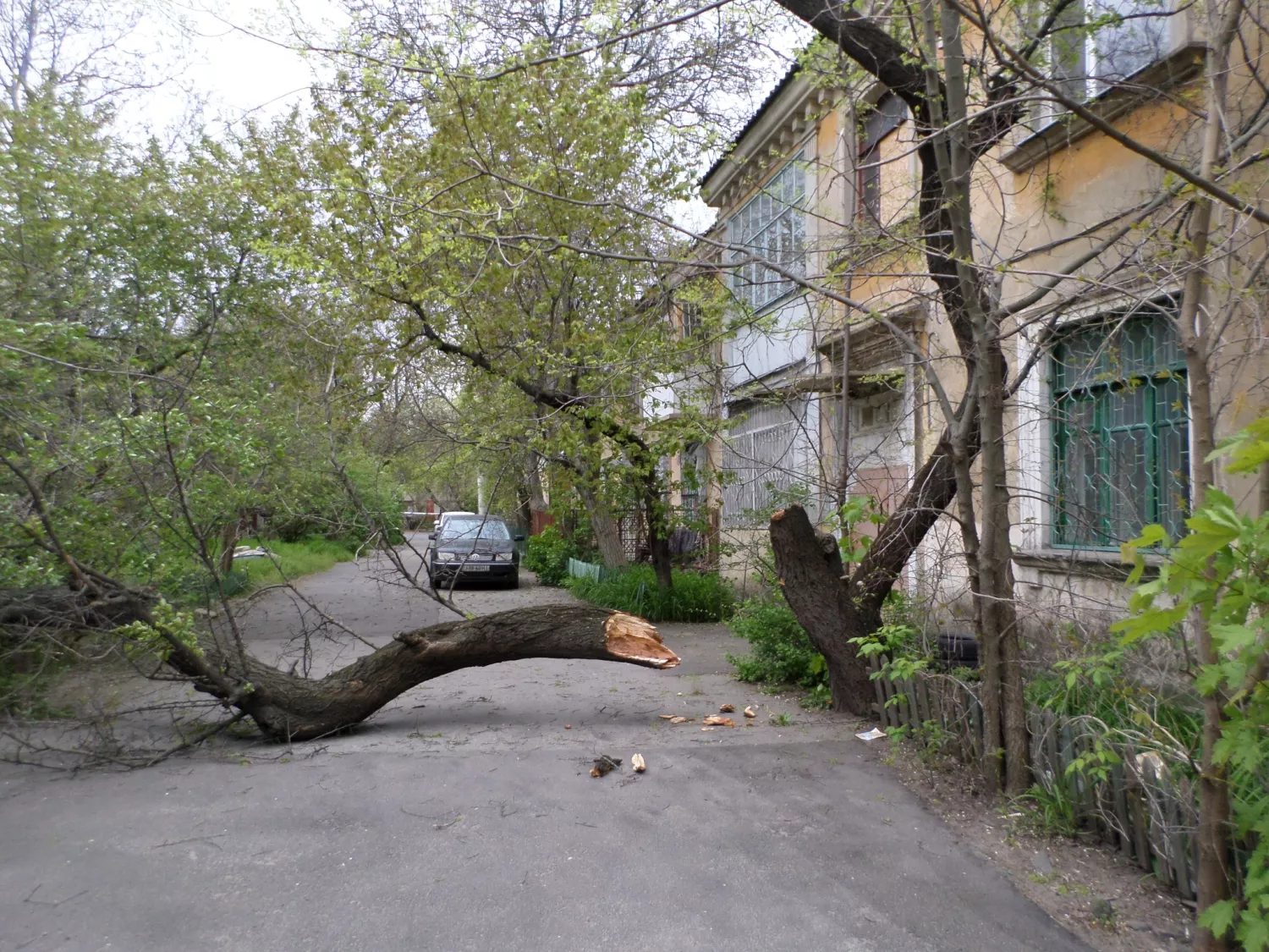 Вул. Велика Морська, 15. Фото: Сергій Луньов