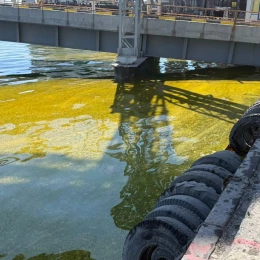 Розлив олії внаслідок обстрілу у Чорноморську. Фото: Державна екологічна інспекція південно-західного регіону