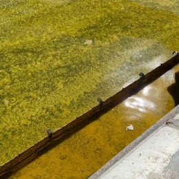 Розлив олії внаслідок обстрілу у Чорноморську. Фото: Державна екологічна інспекція південно-західного регіону