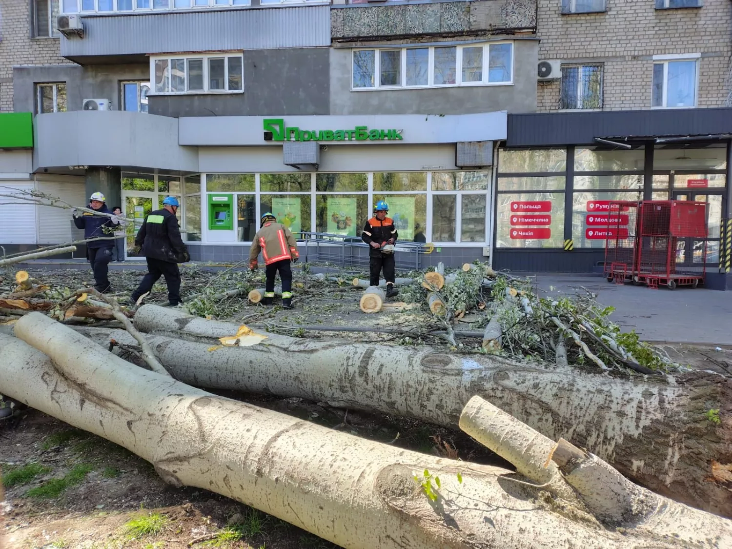 У Миколаєві прибирають повалені дерева, фото Миколаївської міської ради