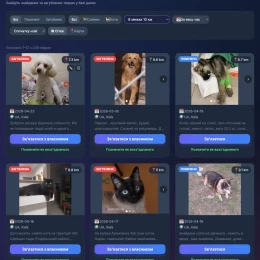 Онлайн-сервіс «PetRadar». Фото: Threads / @fruzzy_null