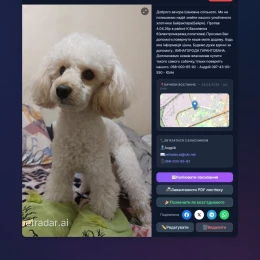 Онлайн-сервіс «PetRadar». Фото: Threads / @fruzzy_null