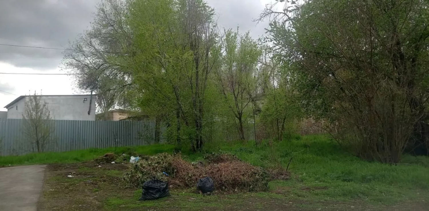 Біля музичної школи у Миколаєві знов створили сміттєзвалище. Фото: Державна екоінспекція Південно-Західного округу