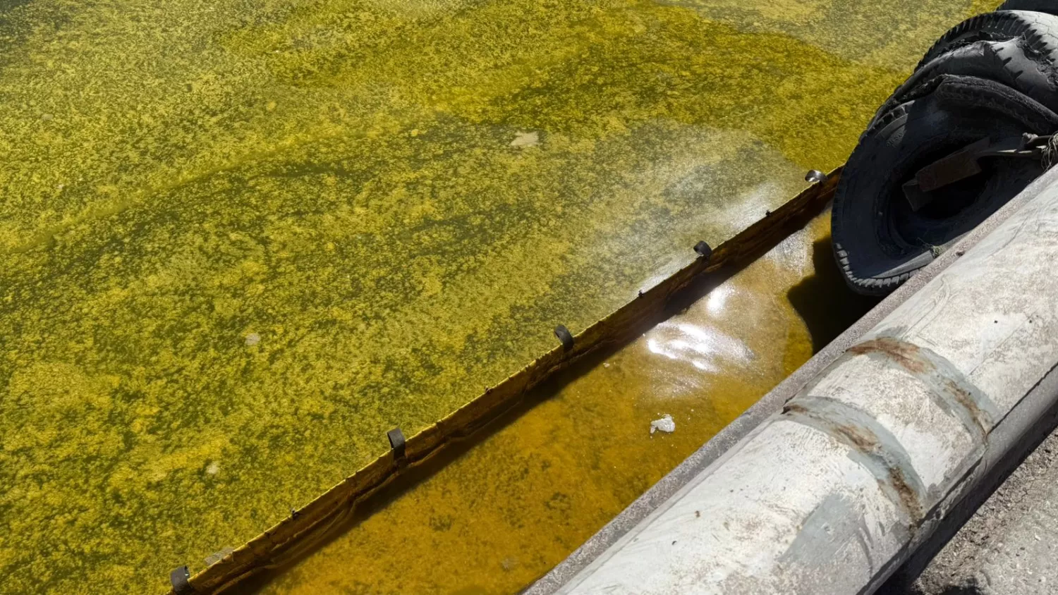 Розлив олії внаслідок обстрілу у Чорноморську. Фото: Держекоінспекція