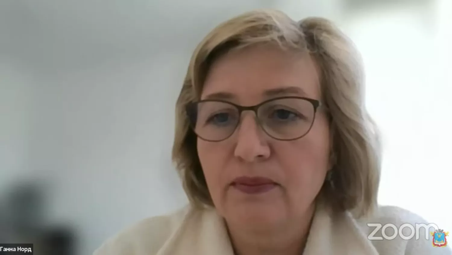 Голова освітньої комісії Ганна Норд. Скриншот з трансляції