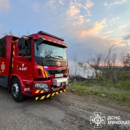 Пожежа у Миколаївській області. Фото: ДСНС